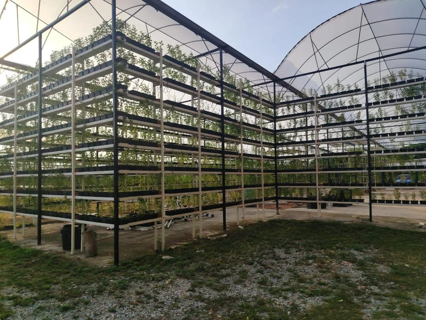 greenhouse-growing-structure