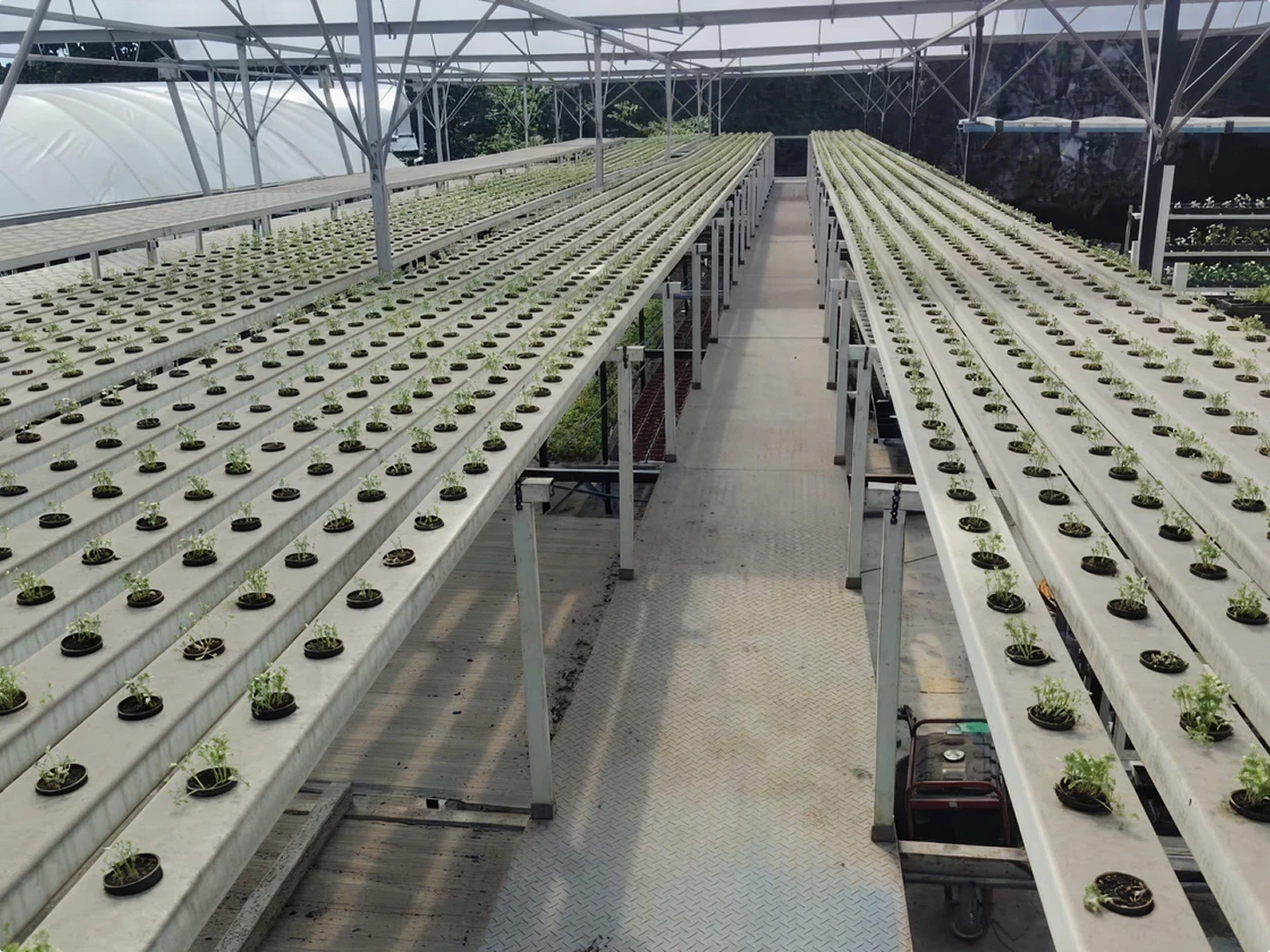 hydroponic-farming-system