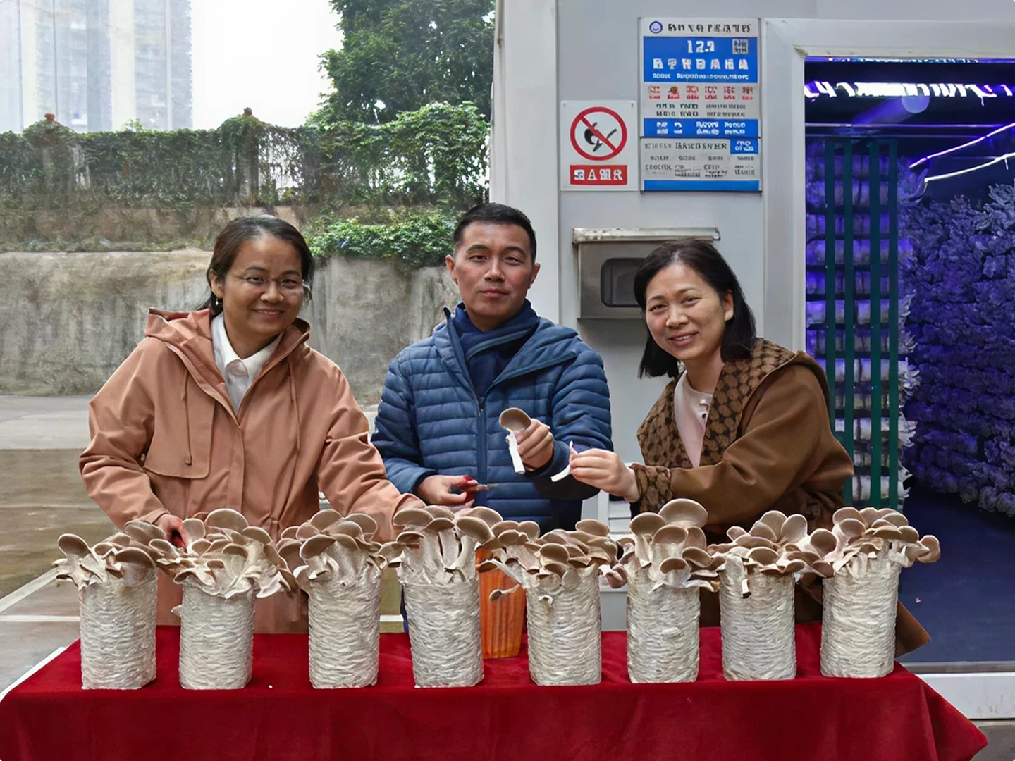 smart-mushroom-china-team