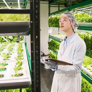 organic smart farming